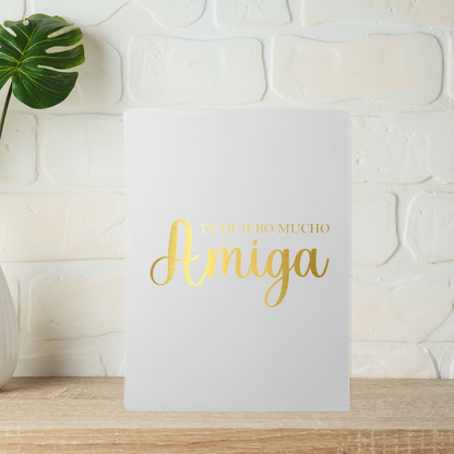 Pack 'Amiga/o'